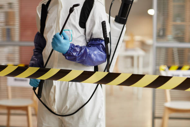 Professional Odor Removal technician working in Lamont, MI
