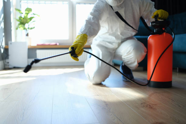 Reliable Odor Removal contractor in Lamont, MI by Trauma Clean Pros
